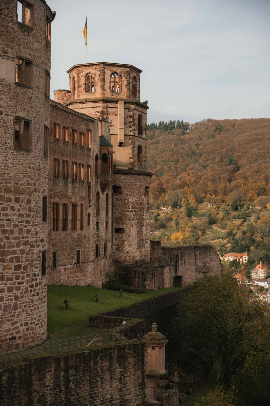 Heidelberg Castle above the town