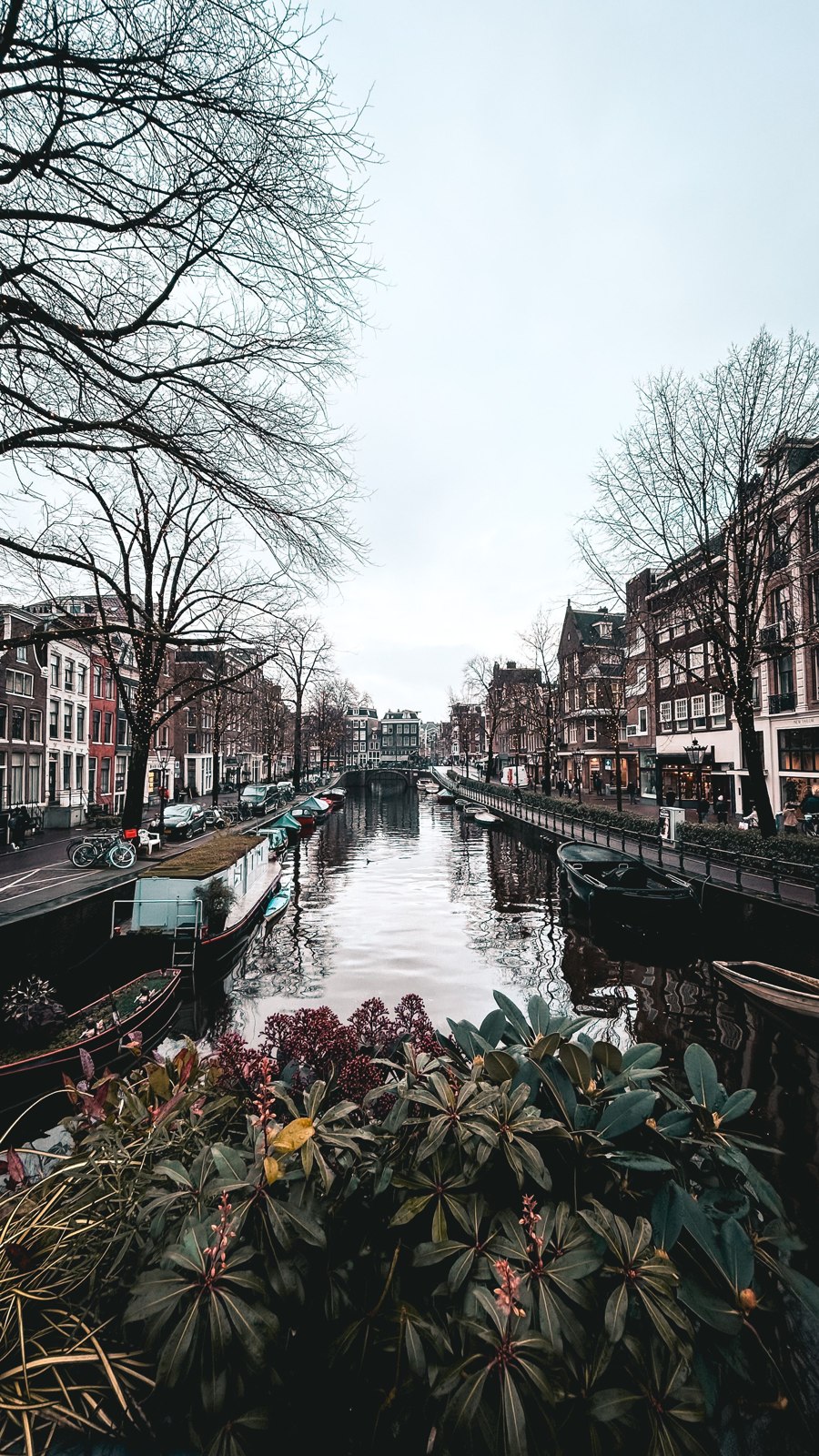 Canal and houses in Amsterdam