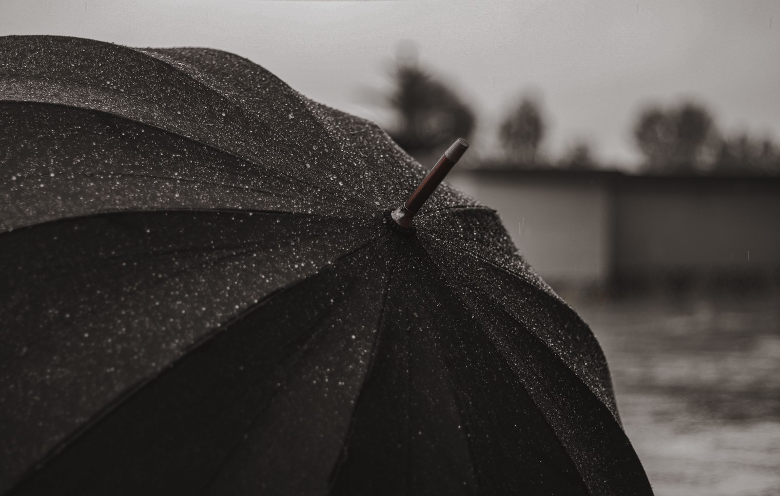 Umbrella during rain